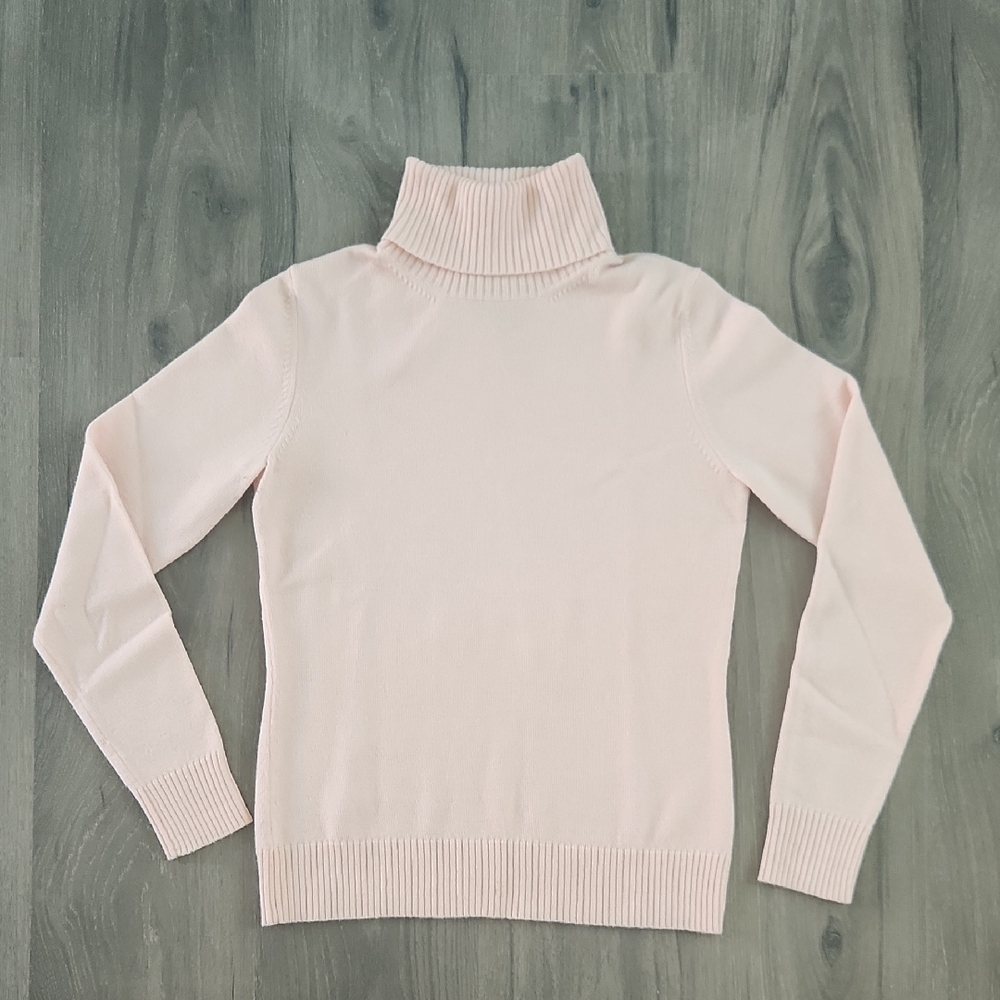 Banana Republic Merino Wool Blend Turtleneck Sweater